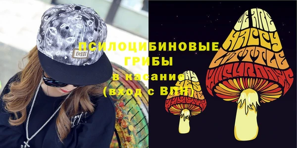 прущий лед Рославль