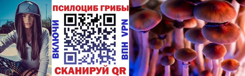 Купить где  Константиновск  Псилоцибиновые грибы мицелий 